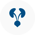 urologia